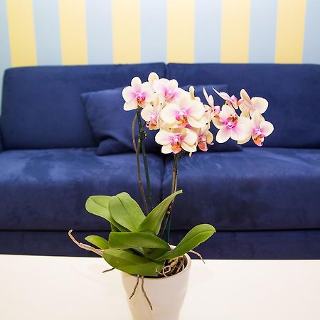 Lemon Flats Sorrento Bed & Breakfast Exterior foto